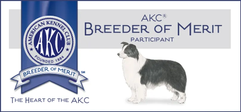 AKC Breeder of Merit